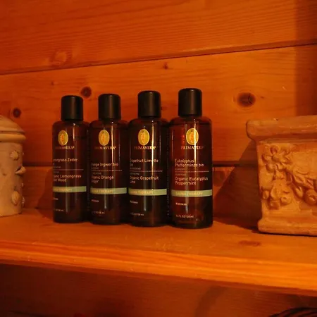 Chalet Malerisches Holzhaus 